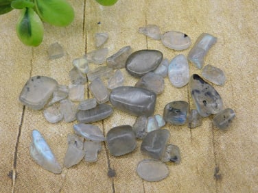 TOURMALINE IN QUARTZ ROCK STONE LAPIDARY SPECIMEN