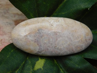 SPECIAL JEWELRY SALE! SEE PHOTOS FOR DETAILS