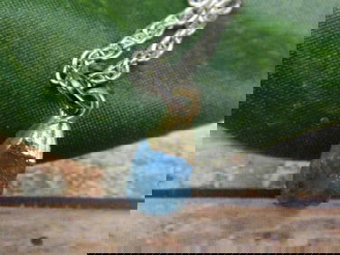 SPECIAL JEWELRY SALE! SEE PHOTOS FOR DETAILS