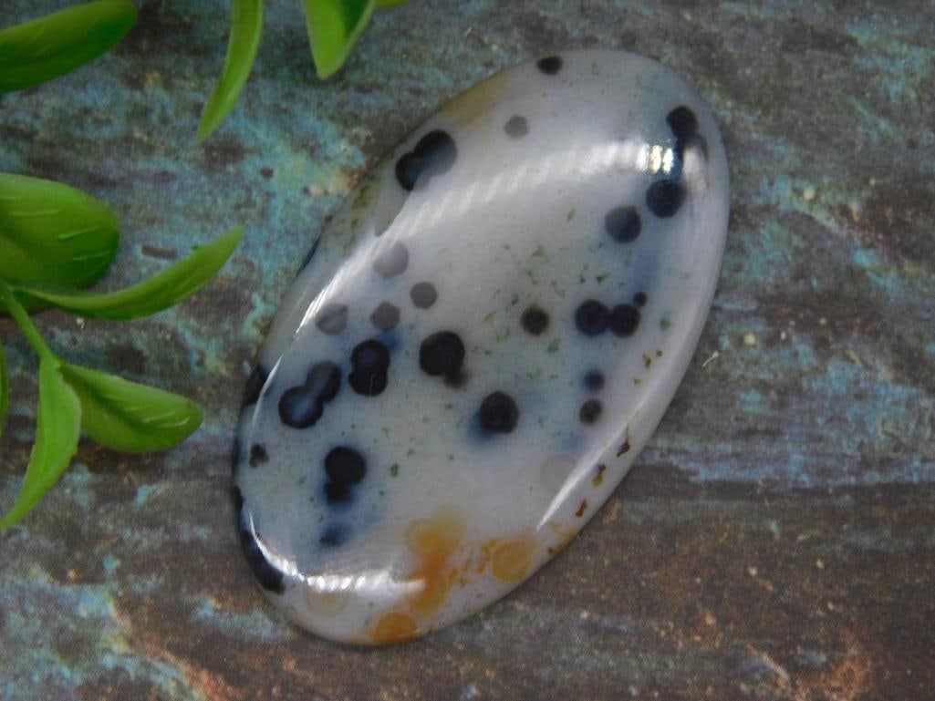 MONTANA MOSS AGATE CABOCHON ROCK STONE LAPIDARY SPECIMEN: MONTANA MOSS AGATE CABOCHON ROCK STONE LAPIDARY SPECIMEN