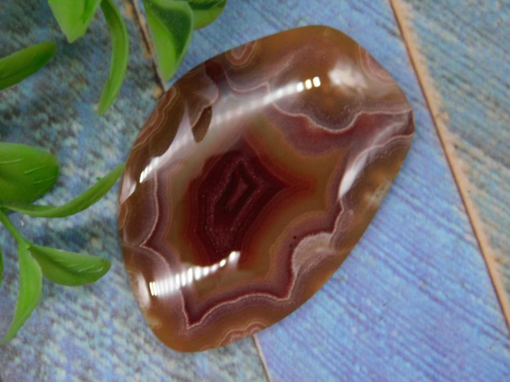 AGATE SLICE ROCK STONE LAPIDARY SPECIMEN: AGATE SLICE ROCK STONE LAPIDARY SPECIMEN