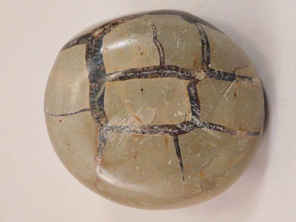 SEPTARIAN DRAGON EGG ROCK STONE LAPIDARY SPECIMEN (1 of 2)
