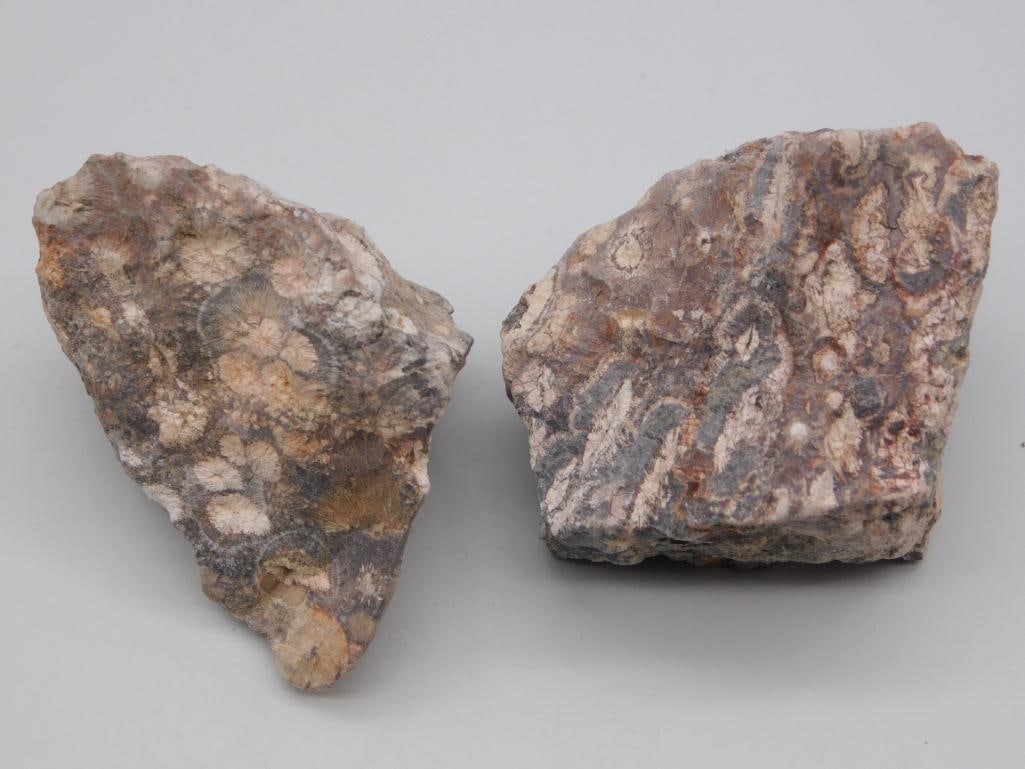 RHYOLITE ROCK STONE LAPIDARY SPECIMEN (1 of 2)