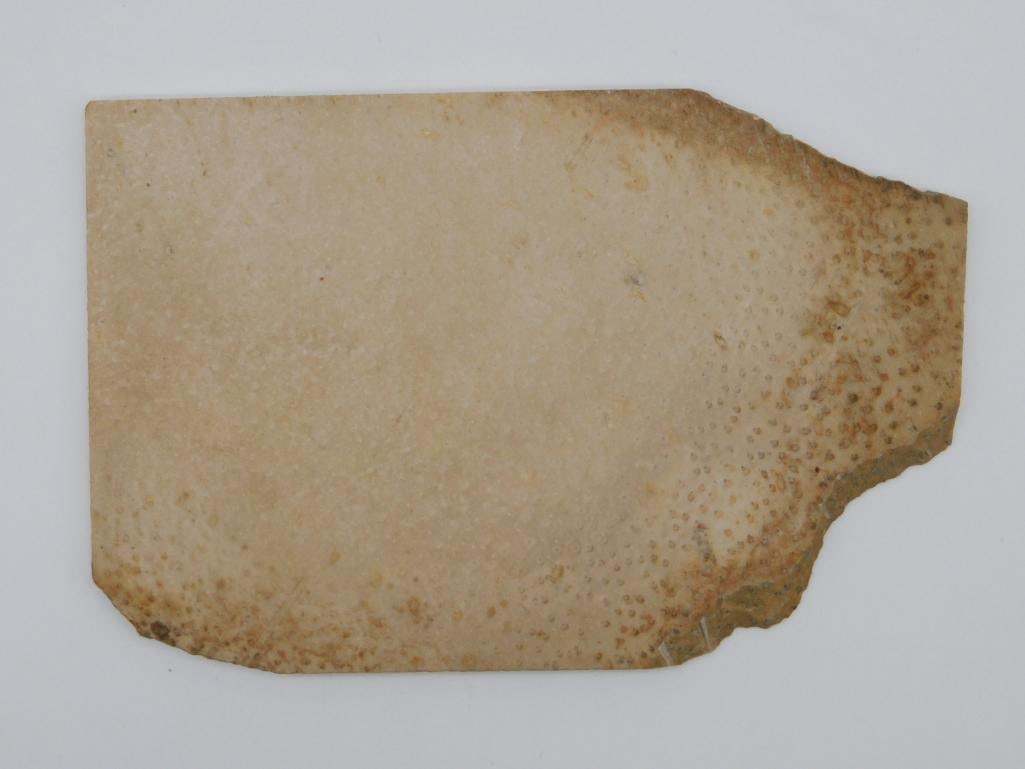 PETRIFIED PALM WOOD SLAB ROCK STONE LAPIDARY SPECIMEN (1 of 2)