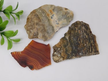 Stone Slabs Rock Stone Lapidary Specimen