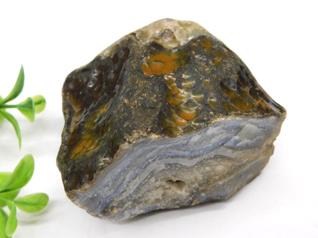 Agate Specimen with Layered Bands Rock Stone Lapidary Specimen: Agate Specimen with Layered Bands Rock Stone Lapidary Specimen