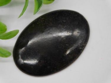 Dinosaur Bone Cabochon Rock Stone Lapidary Specimen