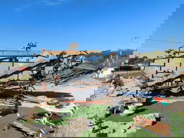 MCCORMICK DEERING THRESHER THRESHING MACHING VINTAGE ANTIQUE PICK UP ONLY