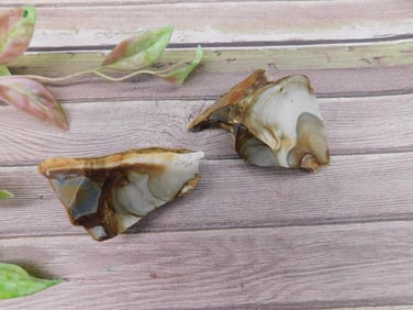 Jasper Rock Stone Lapidary Specimen