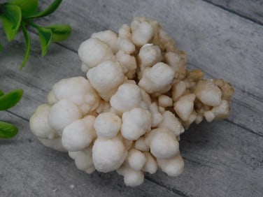CAULIFLOWER CALCITE ROCK STONE LAPIDARY SPECIMEN