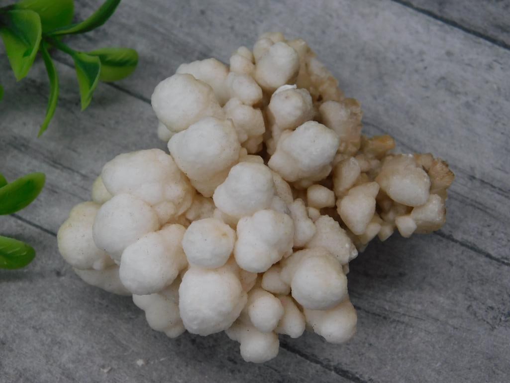 CAULIFLOWER CALCITE ROCK STONE LAPIDARY SPECIMEN (1 of 3)