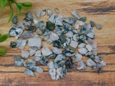 TREE AGATE ROCK STONE LAPIDARY SPECIMEN