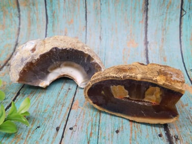 BRAZILIAN AGATES ROCK STONE LAPIDARY SPECIMEN