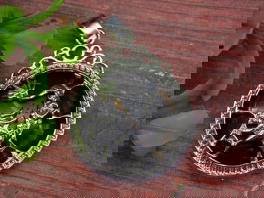 TIGER EYE DRAGON PENDANT ROCK STONE LAPIDARY SPECIMEN