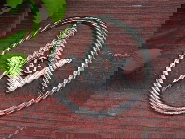 CUT COIN COLLECTIBLE