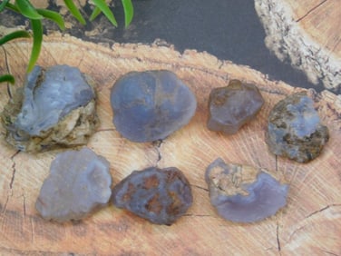 ELLENSBURG AGATE ROCK STONE LAPIDARY SPECIMEN