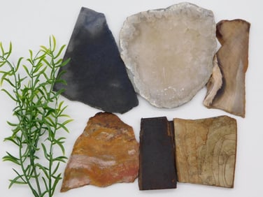 MIXED WOOD SLAB LOT ROCK STONE LAPIDARY SPECIMEN