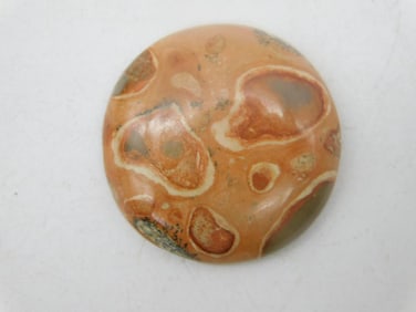 FOSSIL BONE CABOCHON ROCK STONE LAPIDARY SPECIMEN
