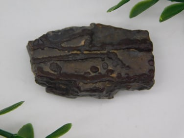 STROMATOLITE ROCK STONE LAPIDARY SPECIMEN