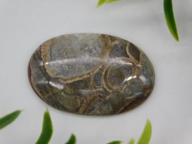 RHYOLITE CABOCHON ROCK STONE LAPIDARY SPECIMEN
