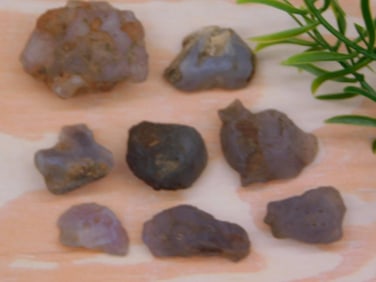 ELLENSBURG AGATE ROCK STONE LAPIDARY SPECIMEN