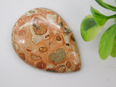 FOSSIL STONE CABOCHON ROCK STONE LAPIDARY SPECIMEN
