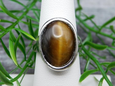 CATS EYE RING ROCK STONE LAPIDARY SPECIMEN