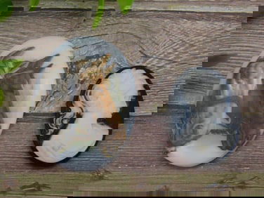 CABOCHONS ROCK STONE LAPIDARY SPECIMEN