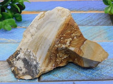 JASPER ROCK STONE LAPIDARY SPECIMEN