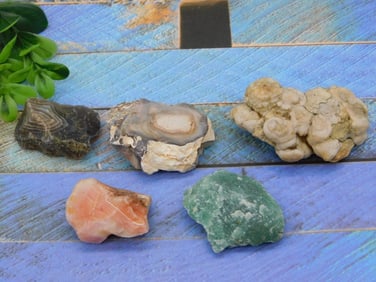 MIXED LOT ROCK STONE LAPIDARY SPECIMEN