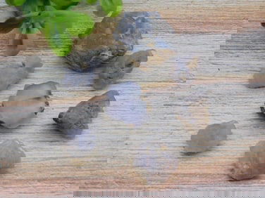 ELLENSBURG AGATE ROCK STONE LAPIDARY SPECIMEN