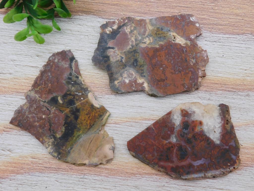 BRECCIATED JASPER SLAB ROCK STONE LAPIDARY SPECIMEN (1 of 2)