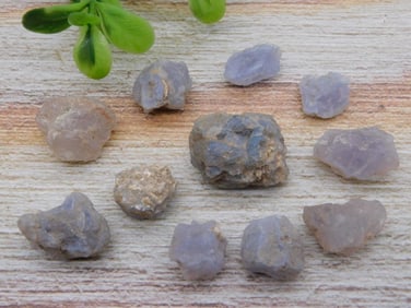 ELLENSBURG AGATE ROCK STONE LAPIDARY SPECIMEN