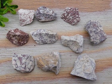 LEOPARD SKIN JASPER ROCK STONE LAPIDARY SPECIMEN