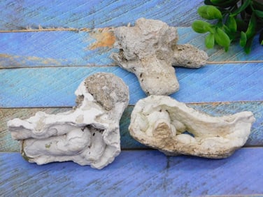 AGATIZED QUARTZ ROCK STONE LAPIDARY SPECIMEN