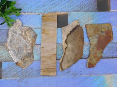 MIXED SLAB LOT ROCK STONE LAPIDARY SPECIMEN