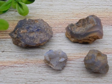 ELLENSBURG AGATE ROCK STONE LAPIDARY SPECIMEN