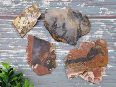 MIXED SLAB LOT ROCK STONE LAPIDARY SPECIMEN