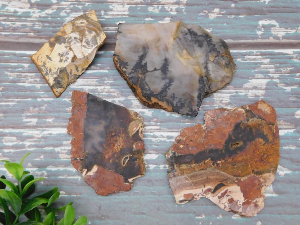 MIXED SLAB LOT ROCK STONE LAPIDARY SPECIMEN (1 of 2)