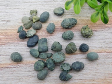 NORTH DAKOTA NEEDLE PEAK RIVER AGATE ROCK STONE LAPIDARY SPECIMEN