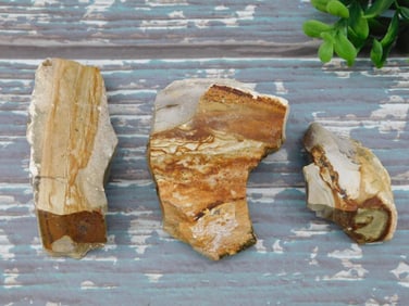 JASPER ROCK STONE LAPIDARY SPECIMEN