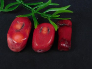 RED CORAL ROCK STONE LAPIDARY SPECIMEN