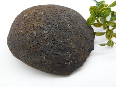 BRAZILIAN AGATE ROCK STONE LAPIDARY SPECIMEN