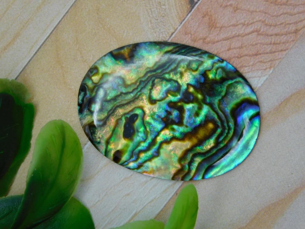 ABALONE STONE CABOCHON ROCK STONE LAPIDARY SPECIMEN: ABALONE STONE CABOCHON ROCK STONE LAPIDARY SPECIMEN