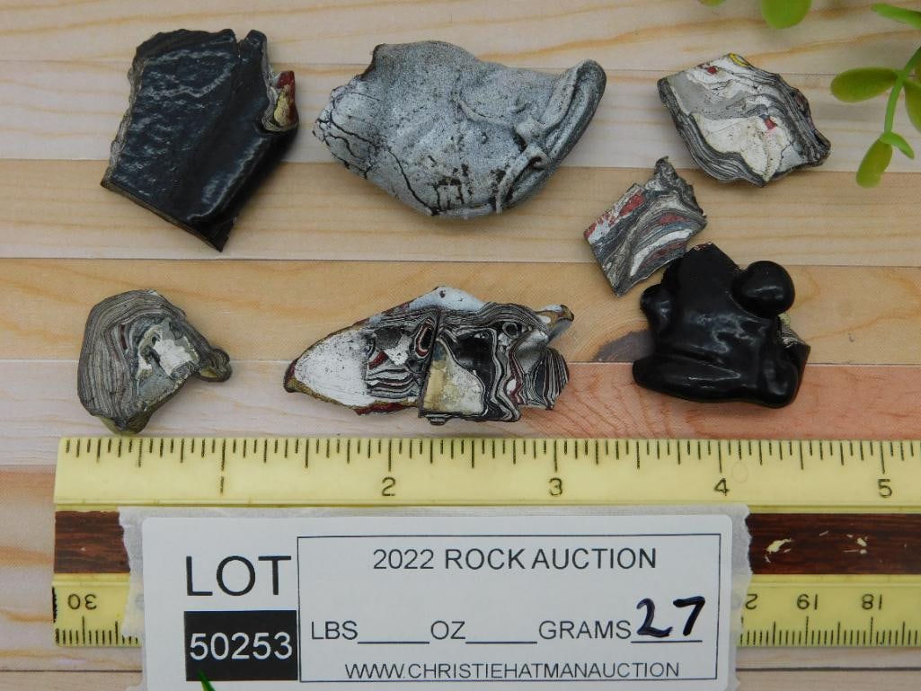 FORDITE ROCK STONE LAPIDARY SPECIMEN - 2