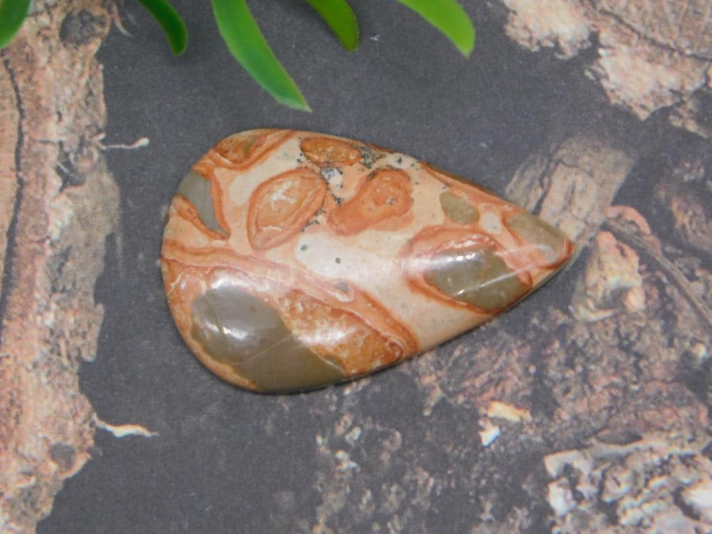 FOSSIL BONE CABOCHON ROCK STONE LAPIDARY SPECIMEN: FOSSIL BONE CABOCHON ROCK STONE LAPIDARY SPECIMEN