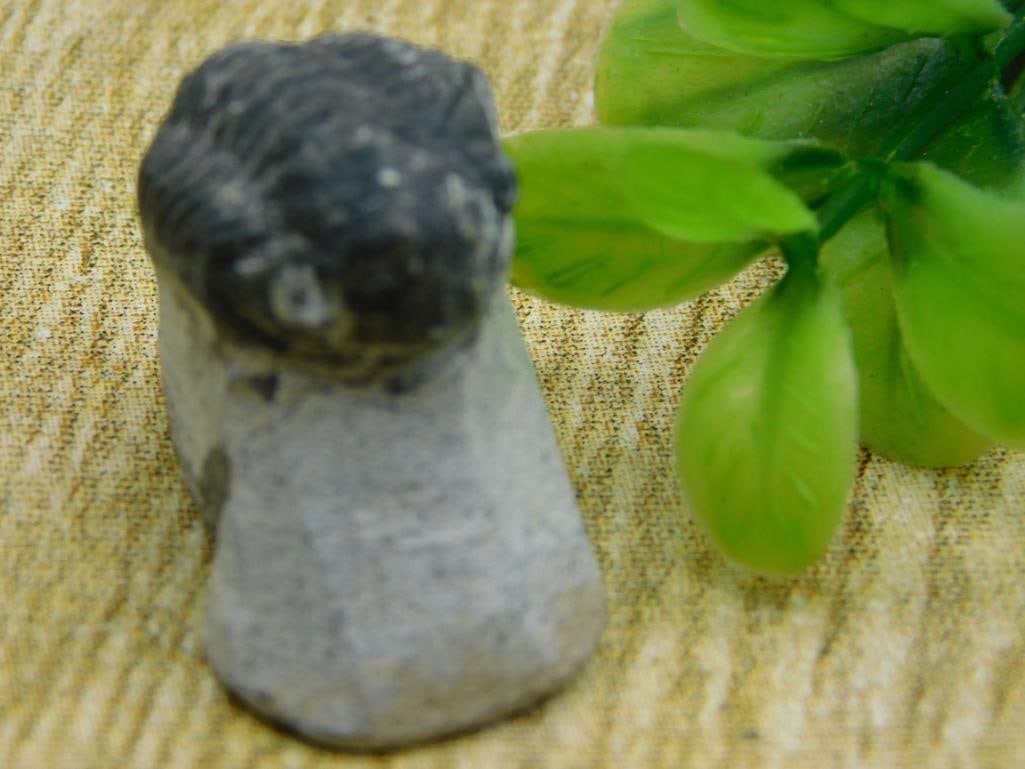 TRILOBITE FOSSIL ROCK STONE LAPIDARY SPECIMEN: TRILOBITE FOSSIL ROCK STONE LAPIDARY SPECIMEN