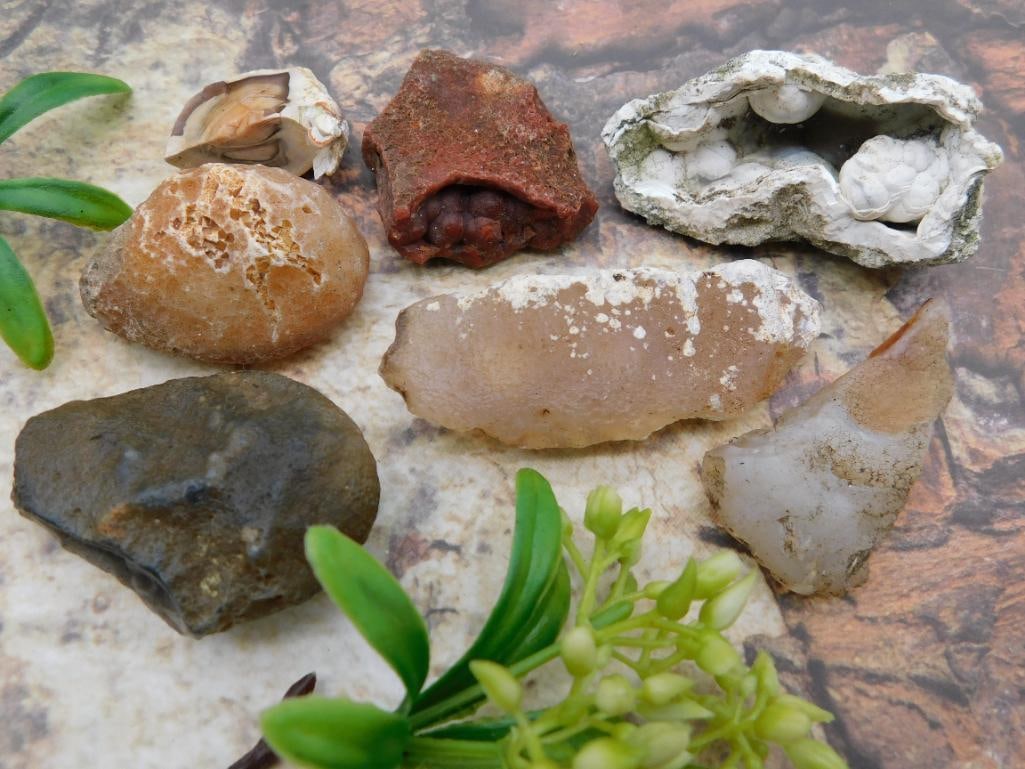 MIXED LOT ROCK STONE LAPIDARY SPECIMEN (1 of 2)