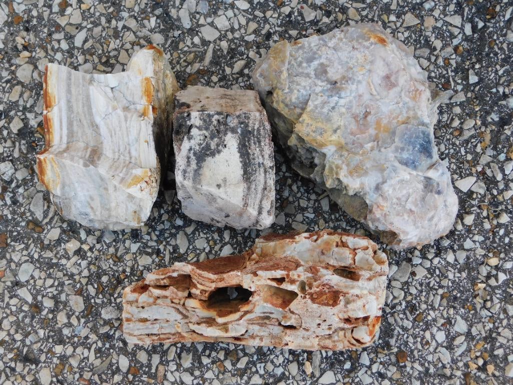 MIXED LOT ROCK STONE LAPIDARY SPECIMEN (1 of 2)