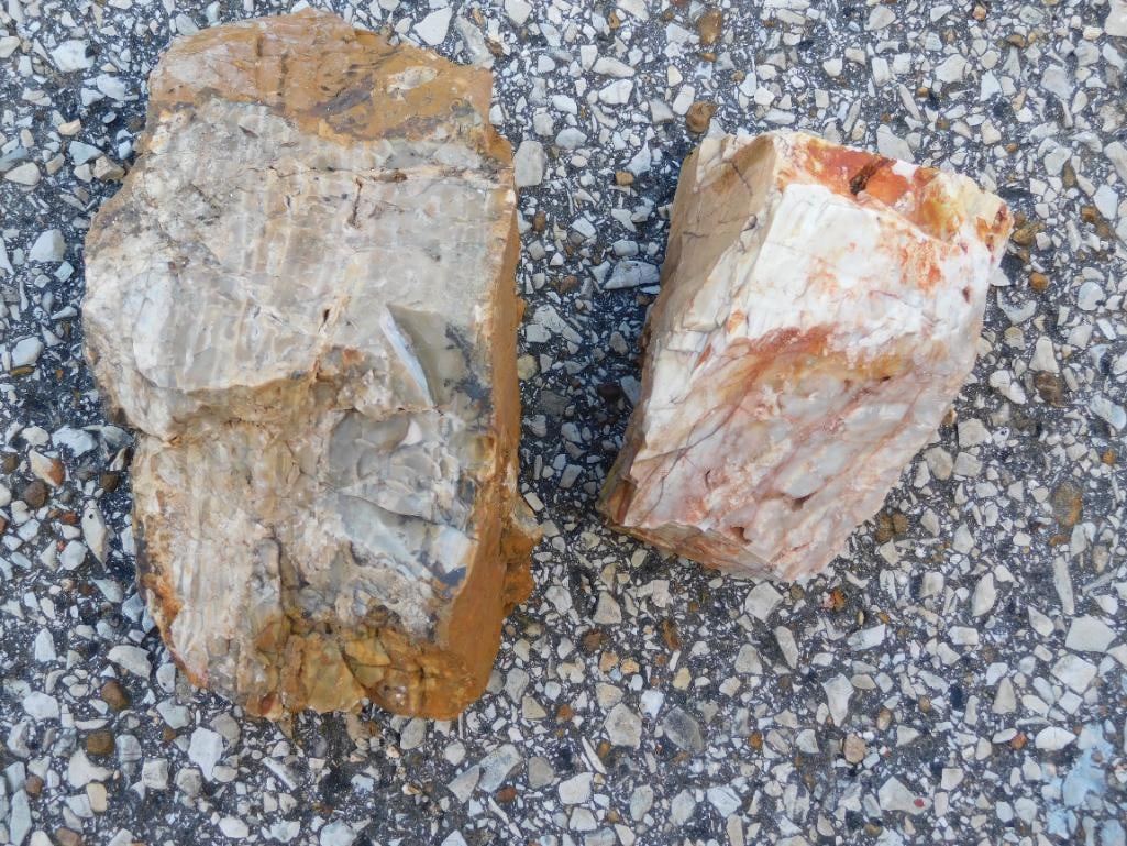 MIXED LOT ROCK STONE LAPIDARY SPECIMEN (1 of 2)